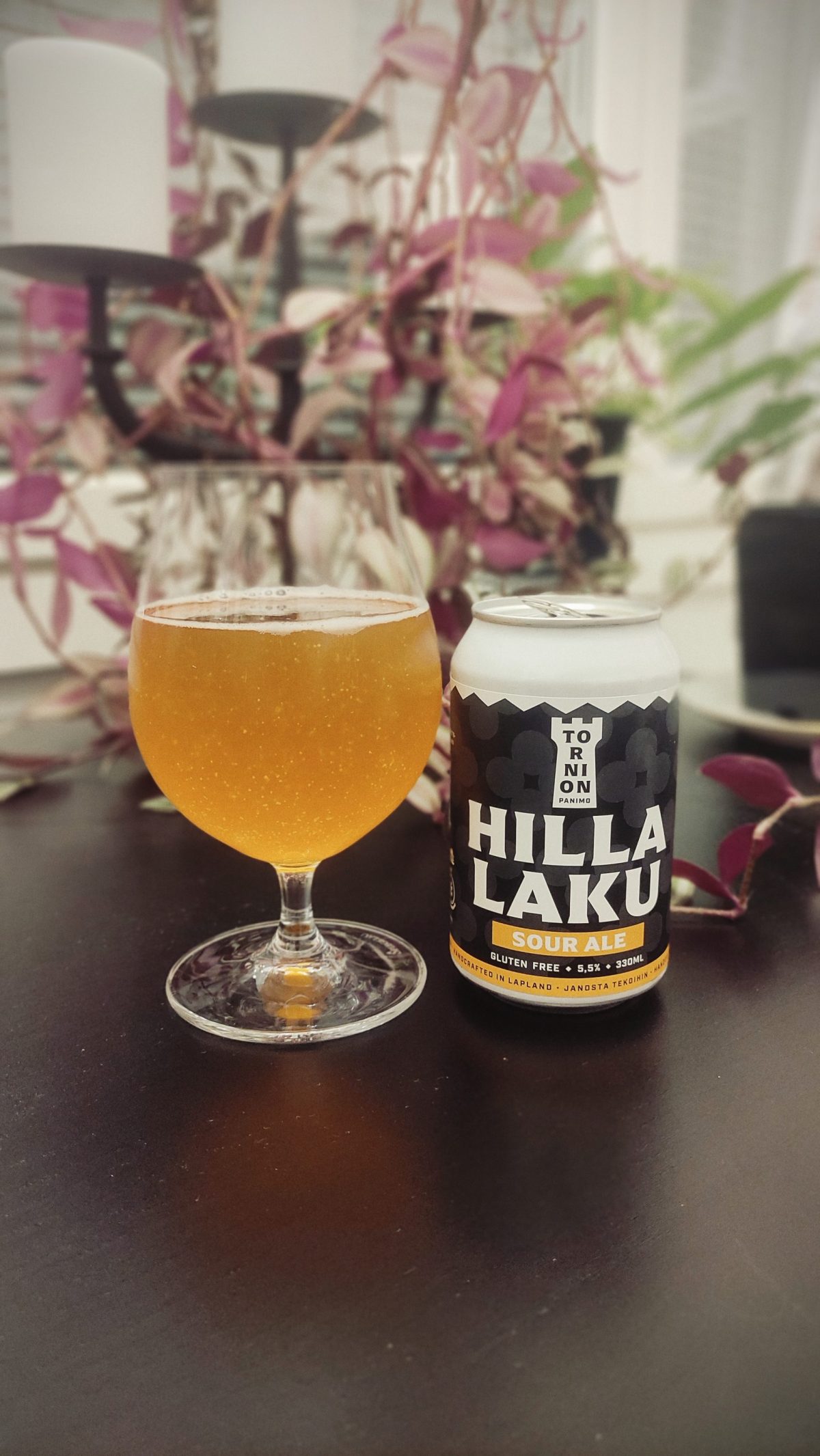 Kuva oluesta Tornion Panimo Hilla Laku Sour Ale