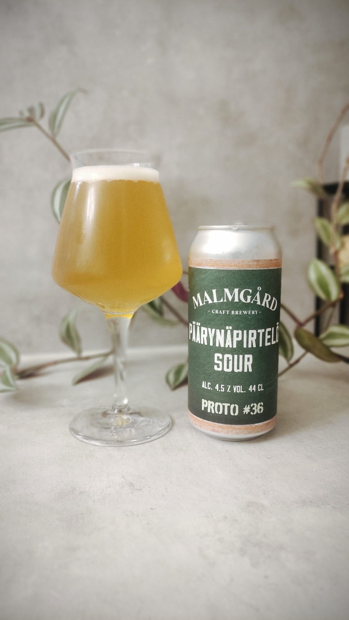 Kuva oluesta Malmgård Proto #36 Päärynäpirtelö Sour