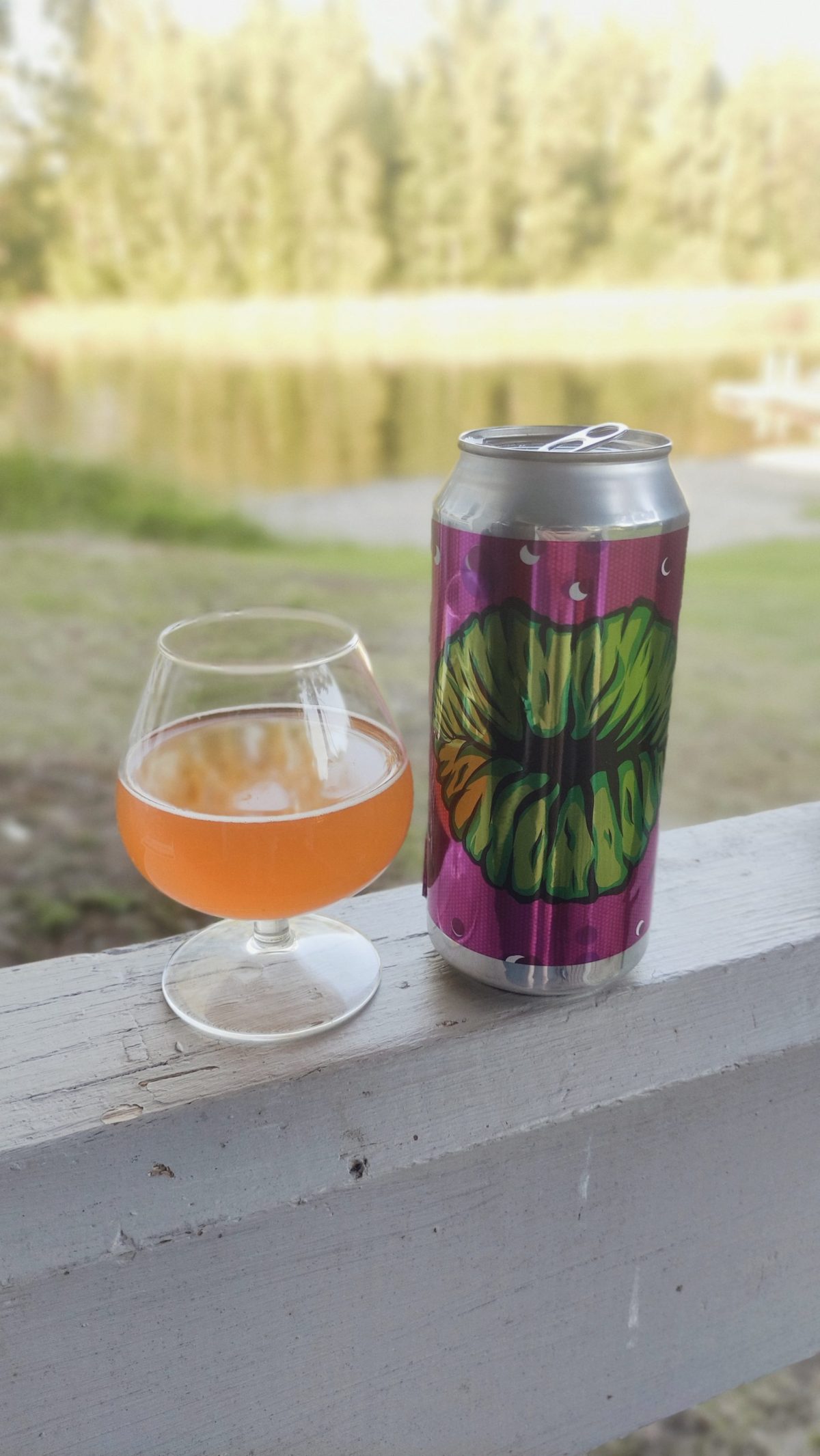 Kuva oluesta Salama Brewing Co. Passion Razzie