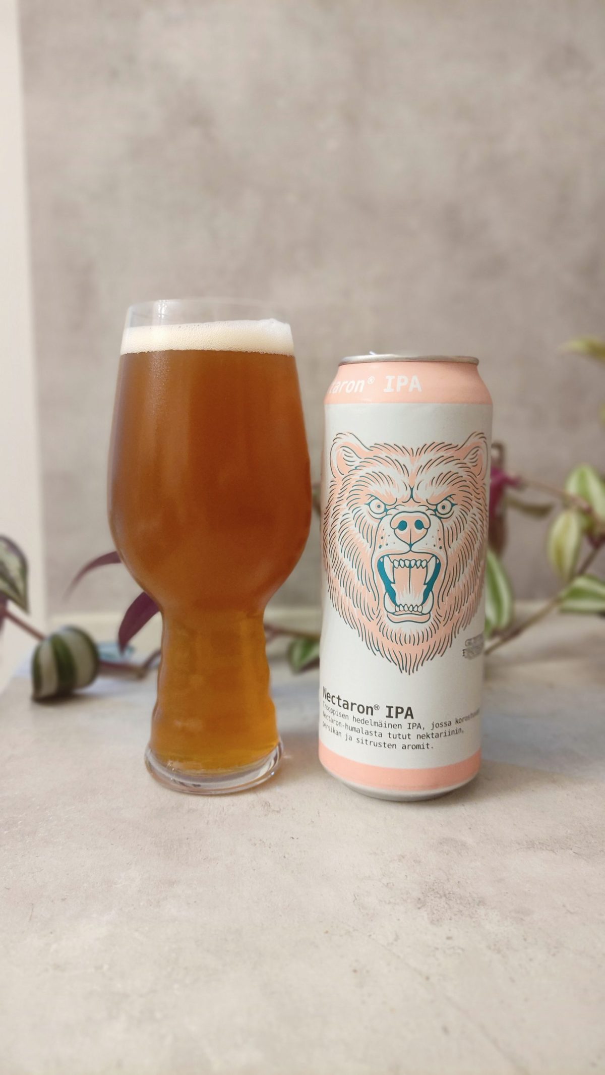 Kuva oluesta Karhu Nectaron IPA