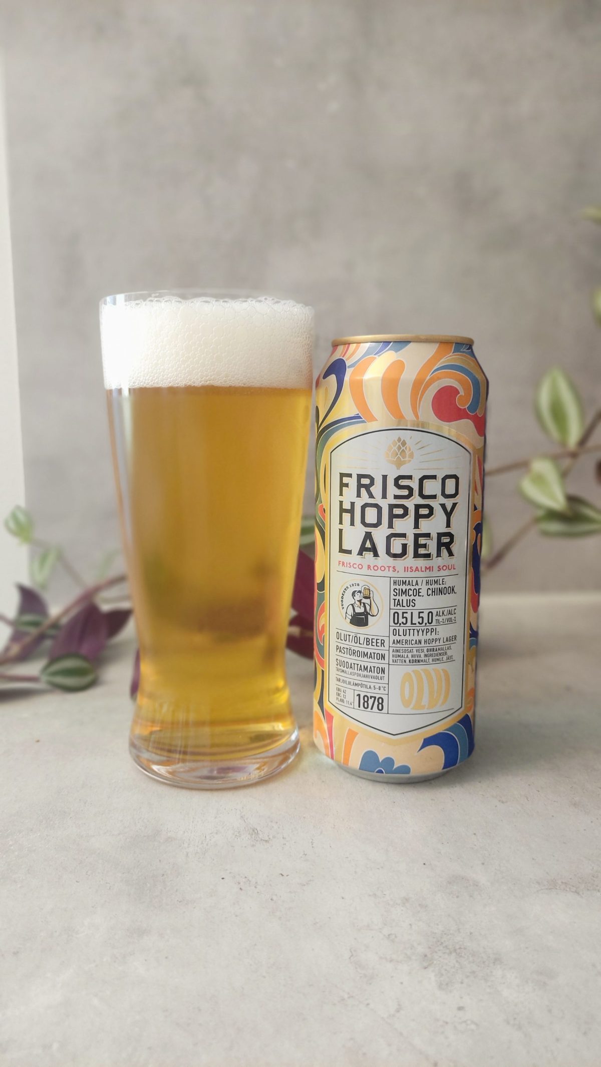 Kuva oluesta Olvi Frisco Hoppy Lager
