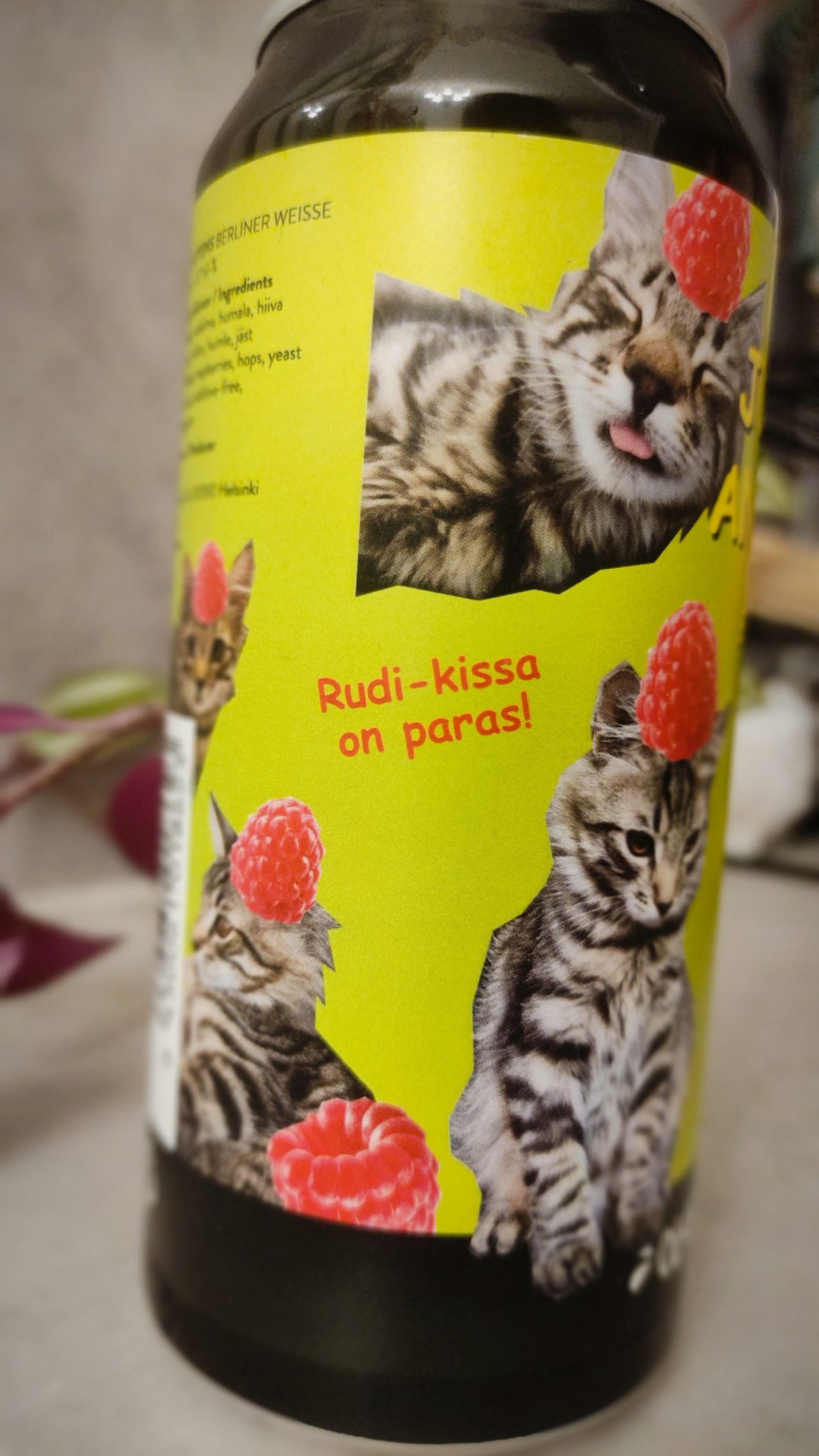 Kuva oluesta Olarin Panimo Just Rasps And Kittens